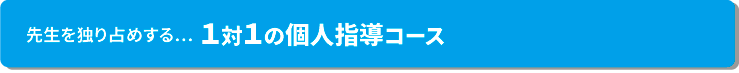 先生を独り占めする…１対１の個人指導コース